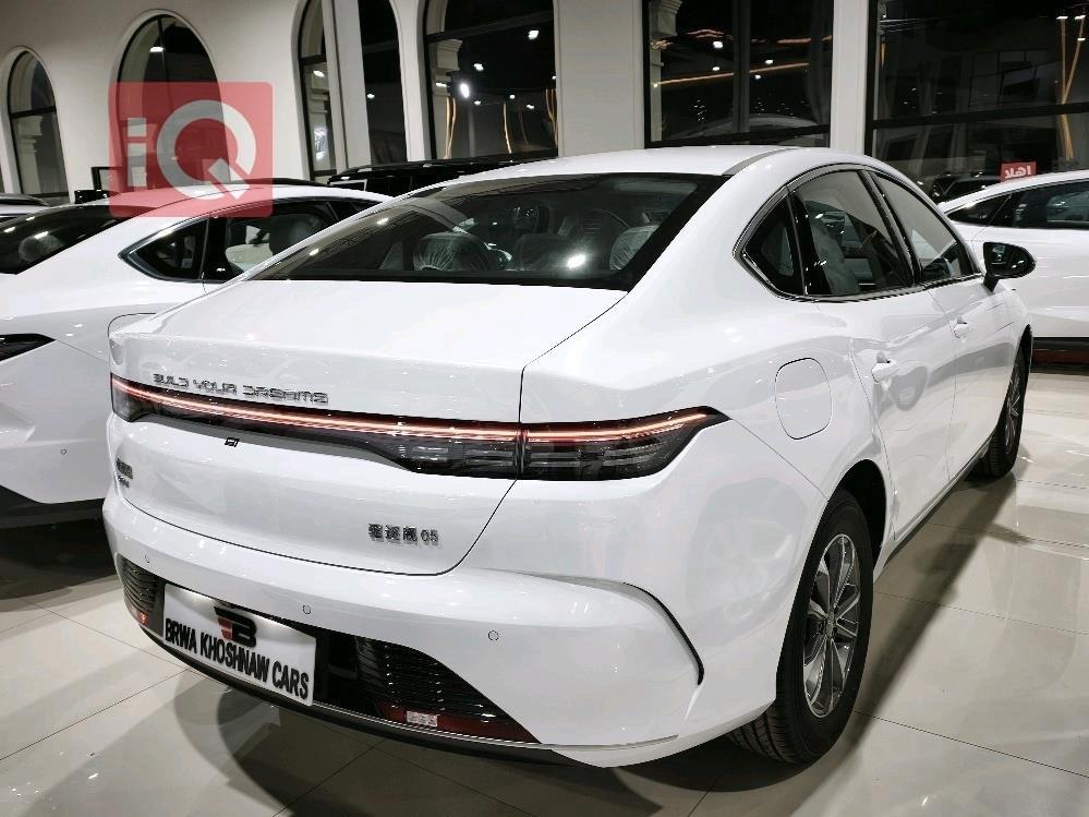 بي واي دي ديستروير 05